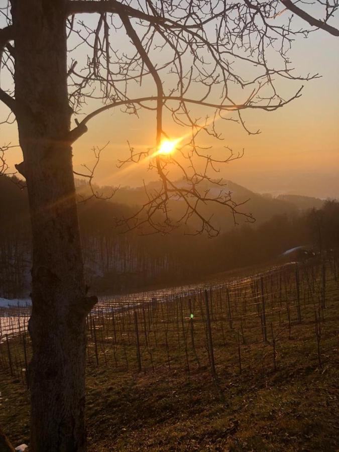 Gaestezimmer Klopfer Sankt Johann im Saggautal Buitenkant foto