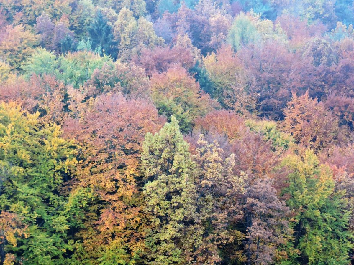 Gaestezimmer Klopfer Sankt Johann im Saggautal Buitenkant foto